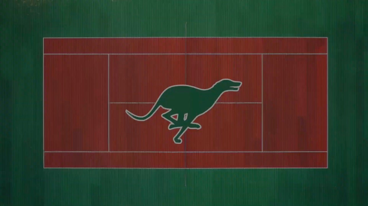 Cargar video: Video de perro Galgo corriendo